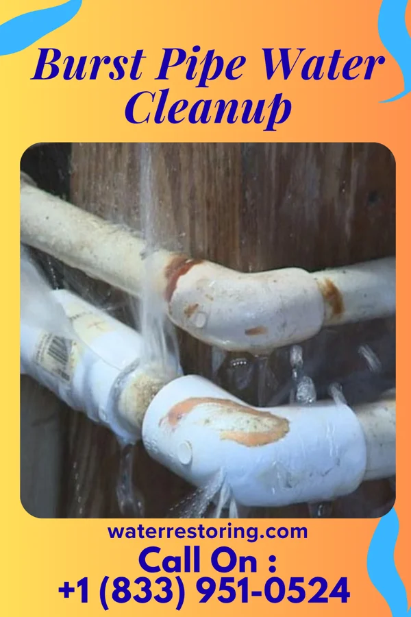 Burst Pipe Water Cleanup in Harrogate, TN