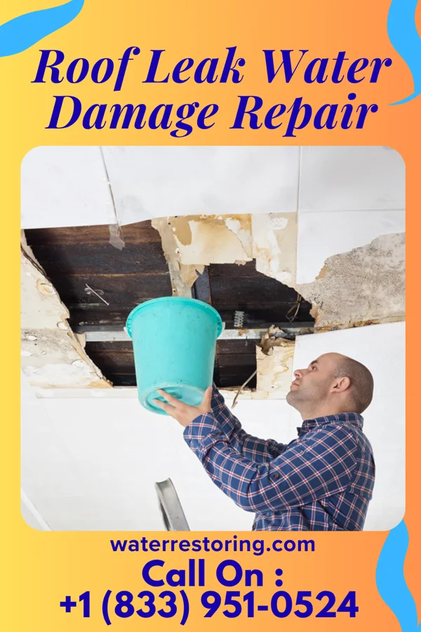 Roof Leak Water Damage Repair in Harrogate, TN