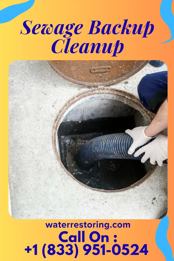 Sewage Backup Cleanup in Harrogate, TN