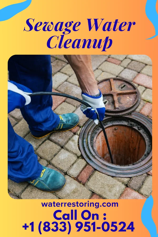 Sewage Water Cleanup in Harrogate, TN