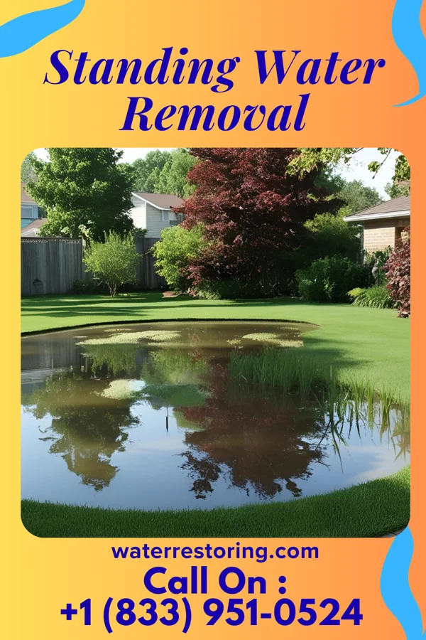 Standing Water Removal in Harrogate, TN